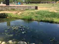 -武汉紫薇都市田园