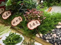 -钦善斋(武侯祠店)