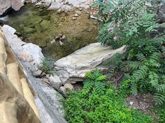 -黑龙潭风景区