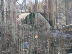 -鄂尔多斯野生动物园