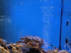 -阿伟海鲜楼·福建菜(延寿店)