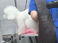 -宠福鑫康馨动物医院·骨科·眼科