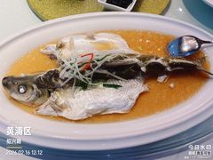 -老洋房花园饭店(绍兴路店)