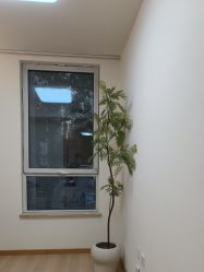 -小梨·OndaPro·专业脱毛连锁机构