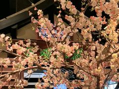 -绿茶餐厅(千岛湖银泰城店)