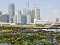 -鱼尾狮公园