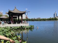 -莲花池公园
