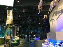 -香港科学馆