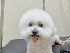 -美联众合动物医院(唯恩分院)