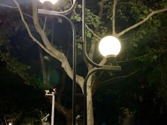 -南京理工大学紫金学院