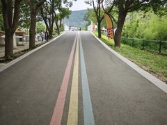 -苏州太湖西山岛开心农场