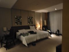 -大同云冈美高大酒店