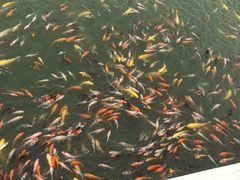 -呼兰河口湿地公园