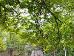 -西安市纺织公园