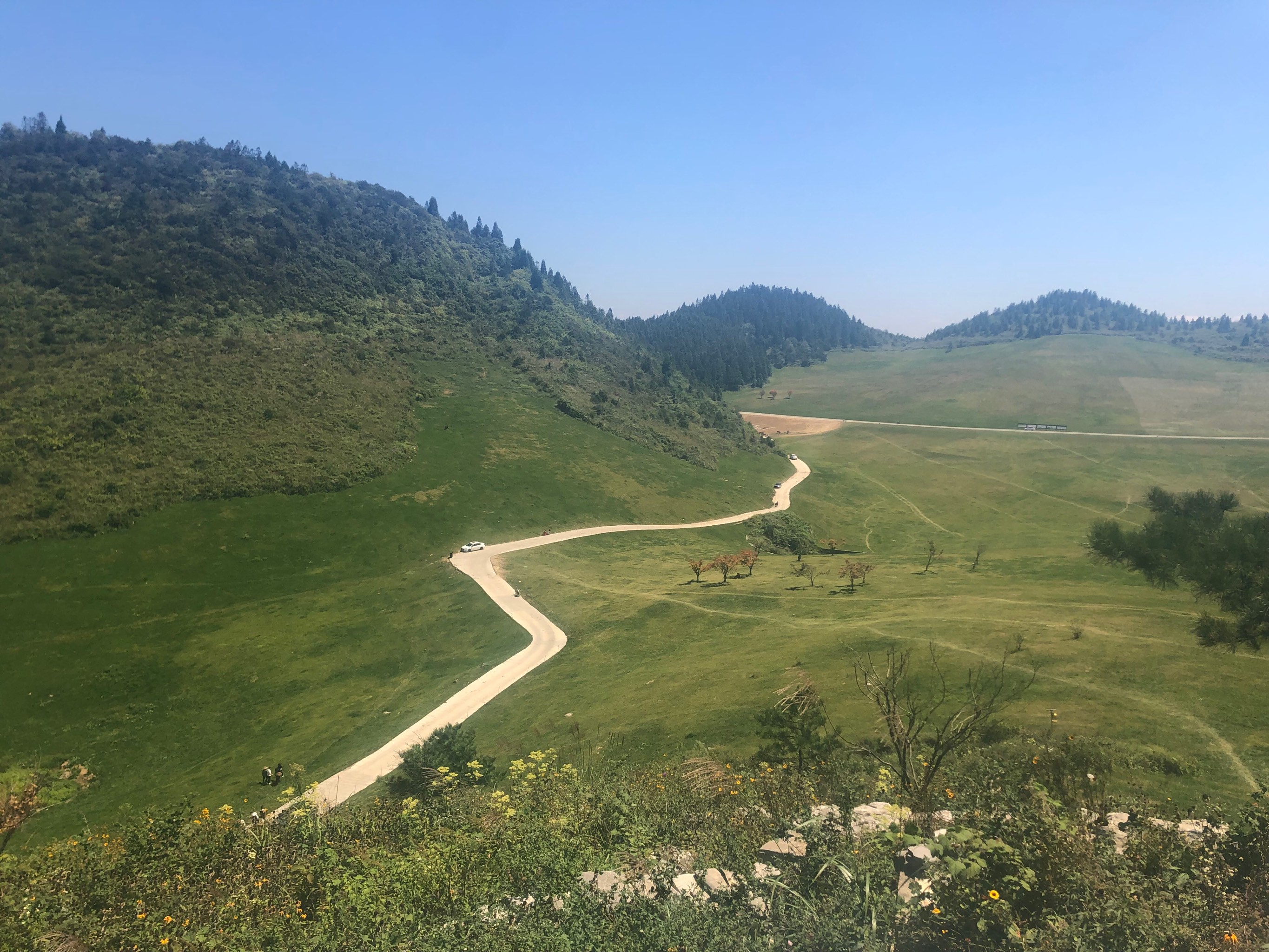 菖蒲大草原景区在哪里图片