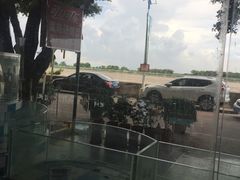 白灼河虾-湿地轩