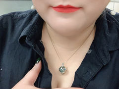 -彩虹桥宠物火化殡葬善终服务(金乐大厦店)
