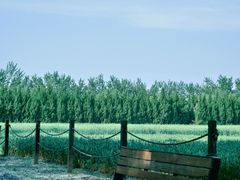 -汉长安城未央宫国家考古遗址公园