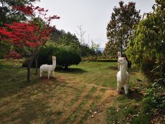 -千岛湖天屿景区
