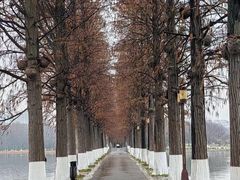 -东湖生态旅游风景区