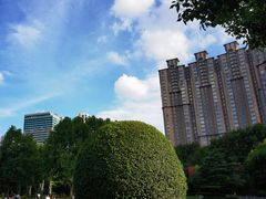 -中山公园