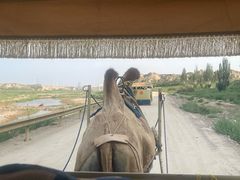 -水洞沟旅游区