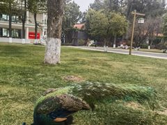 -西昌邛海宾馆