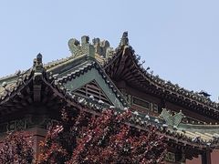 -南京钟山宾馆(江苏省会议中心)