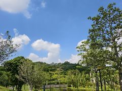 -东莞植物园