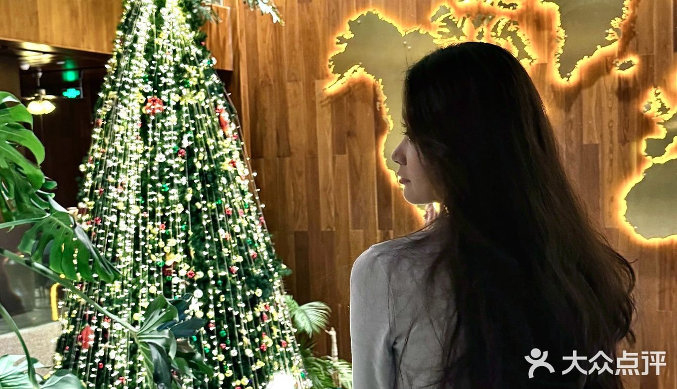 今年圣诞又一超美打卡地谁懂