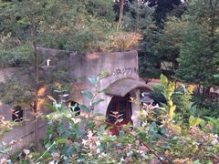 iphone_upload_pic-三鹰之森吉卜力美术馆