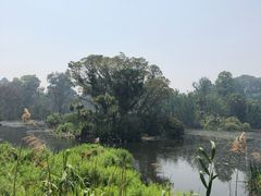 -墨尔本皇家植物园