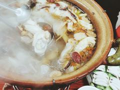 炭炉果鸡煲-威邵鸡煲(西华路总店)