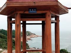 -广东惠东海龟国家级自然保护区