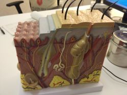 -痘庄科学祛痘国际连锁机构