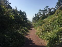 -柱状节理带
