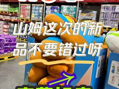 -山姆会员商店(亦庄创意生活广场店)