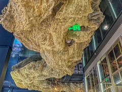 -顶特勒·黄鱼馆·特色菜(上海大世界店)