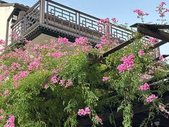-三林塘老街