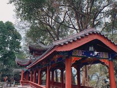 -丰都鬼城名山景区