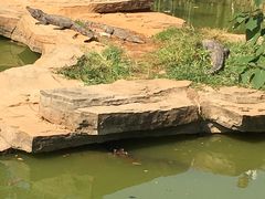 -南昌动物园