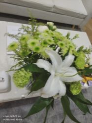 -HEYAN长风荷妍专业脱毛美肤
