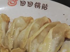 -回回锅贴(小河沿店)