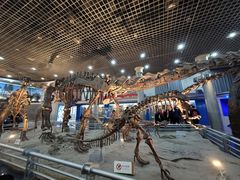 -国家自然博物馆