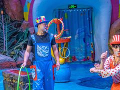 -烟台海昌鲸鲨海洋公园