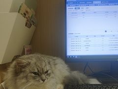 -瑞派康怡24h宠物医院·犬猫医疗中心·微创绝育(瑞景分院)