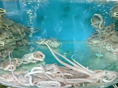 -临风海鲜餐厅