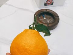 -迈肯专业车体精护·保镖BOP隐形车衣(青岛专营店)