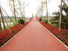 -白鹭湾湿地公园