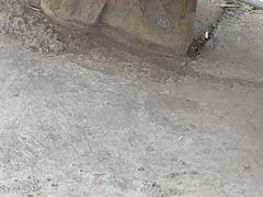 -青藏高原野生动物园